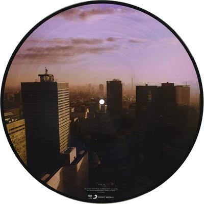Ultra Vivid Lament (Picture Disc Vinyl) [Import] Vinyl Record