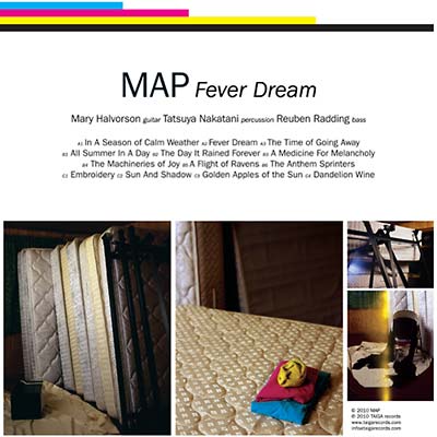 Fever Dream Vinyl Record