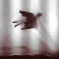 Tiny Birds Music CD