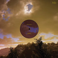 Sky Dice / Mapping the Studio Vinyl Record