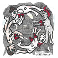 Peace Meter Music CD