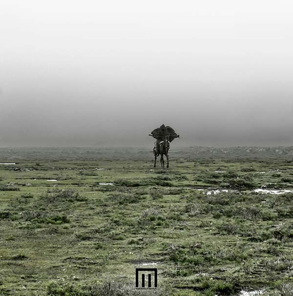 Figure In Field Vinyl Record