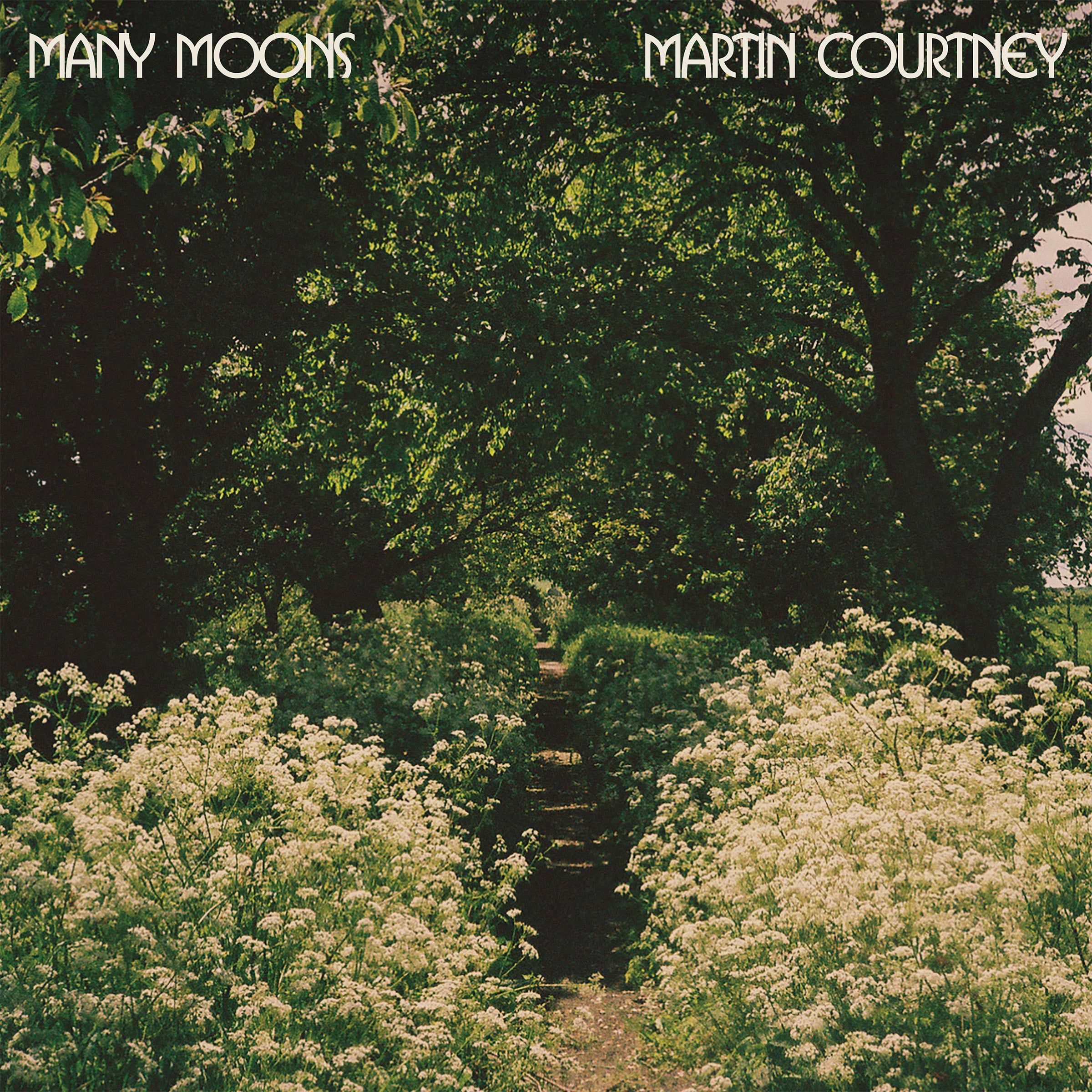 Many Moons Music CD