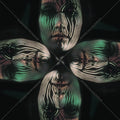 Holography Vinyl Record