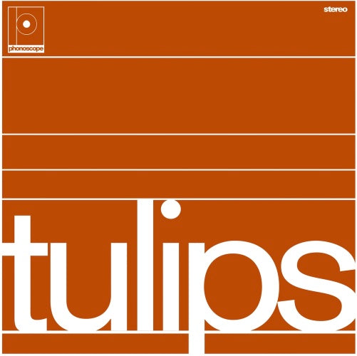 Tulips |