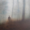 Farewell To All We Know Music CD