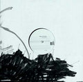 Adore Vinyl Record