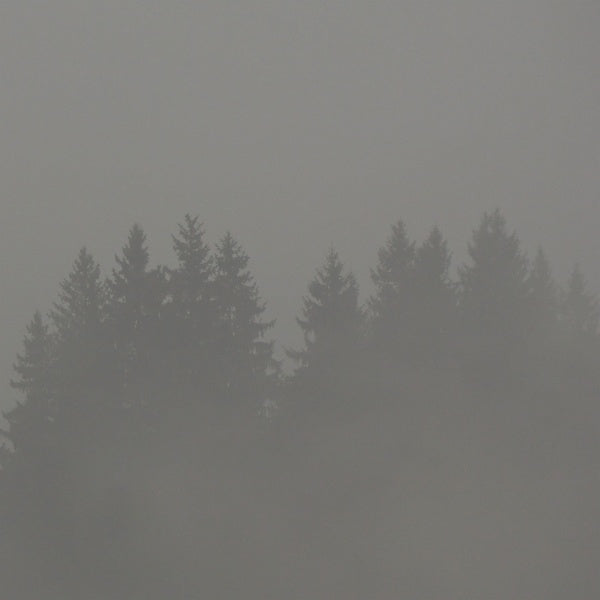 Donnerwetter Vinyl Record