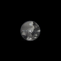 MAXIME IKO - Concilium EP [Vinyl]