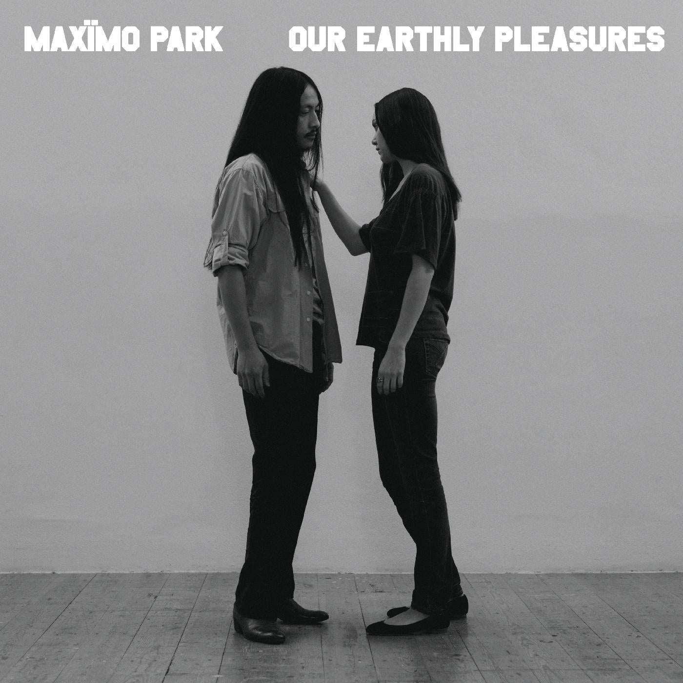 Our Earthly Pleasures (SILVER VINYL) Vinyl Record