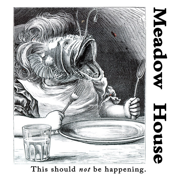 This Should Not Be Happening Vinyl Record