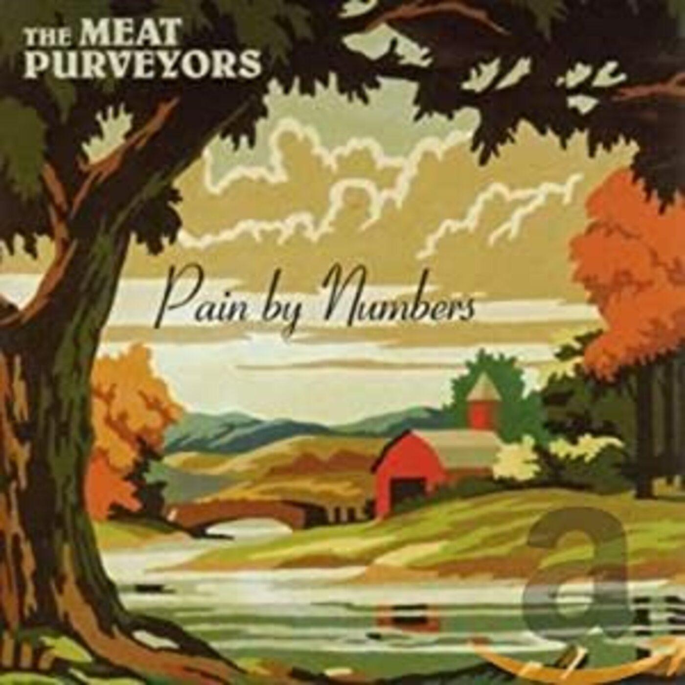 Pain By Numbers Music CD