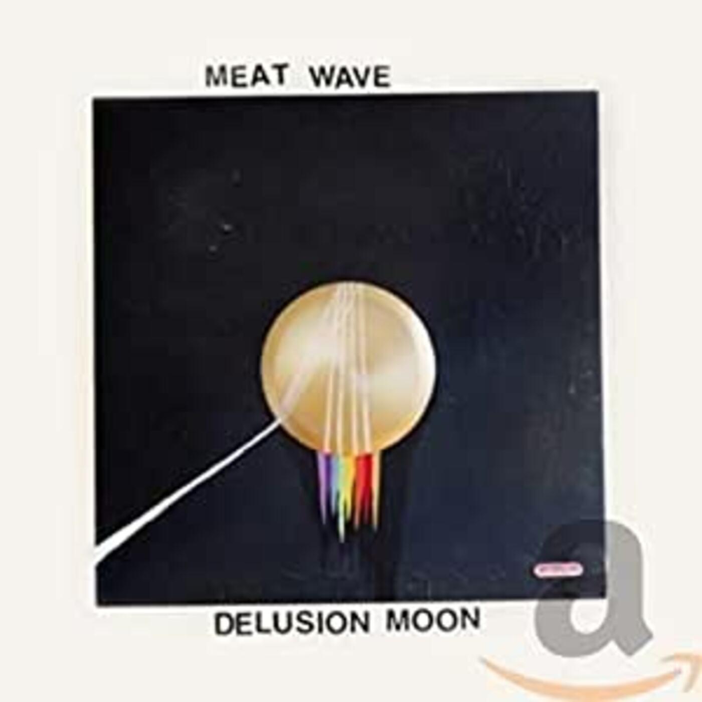Delusion Moon Music CD