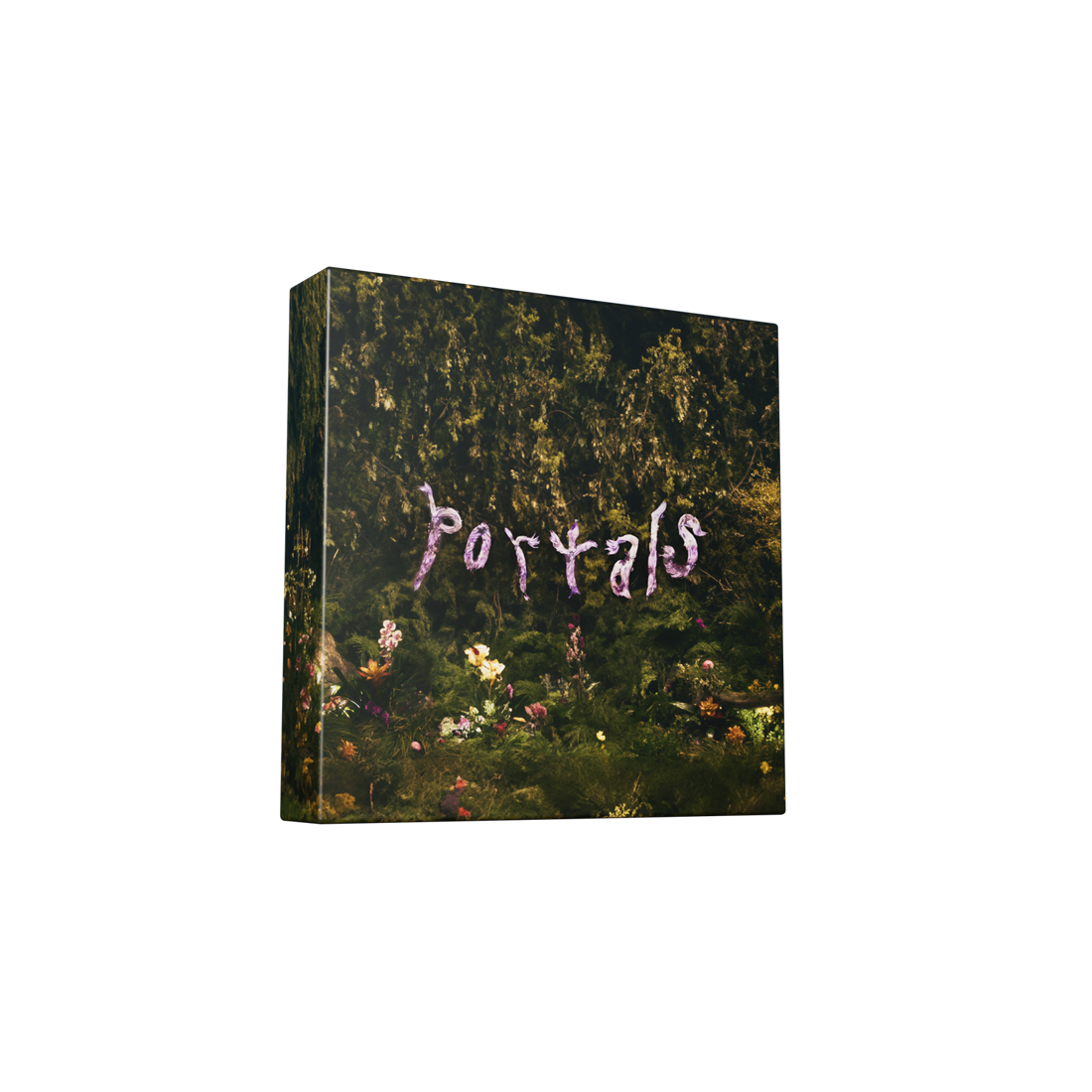 Portals (Deluxe) [2LP Vinyl] (Vinyl) Vinyl Record
