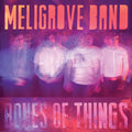 Meligrove Band - Bones of Things Vinyl Record