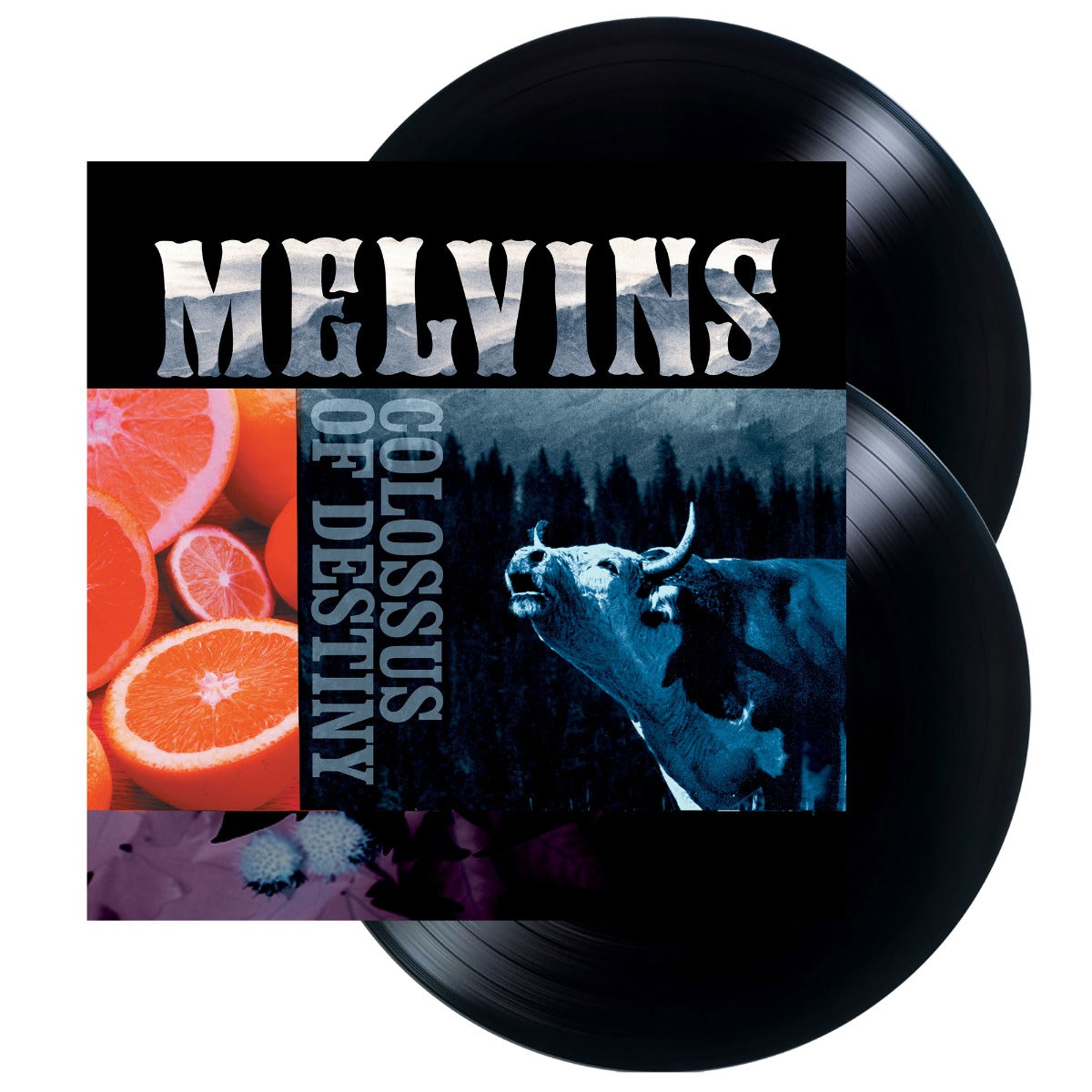 Colossus Of Destiny (2LP Vinyl Reissue) Vinyl Record