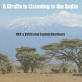 A Giraffe Is Listening To The Radio: Men & Volts Play Captain Beefheart Vinyl Record