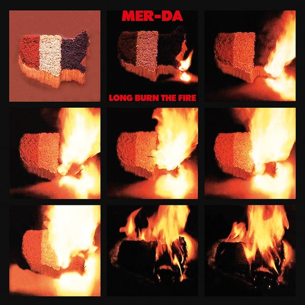 Long Burn The Fire Vinyl Record