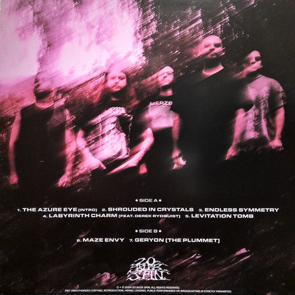 Maze Envy (PURPLE MAGENTA MERGE VINYL) | Mint (M) Mint (M)