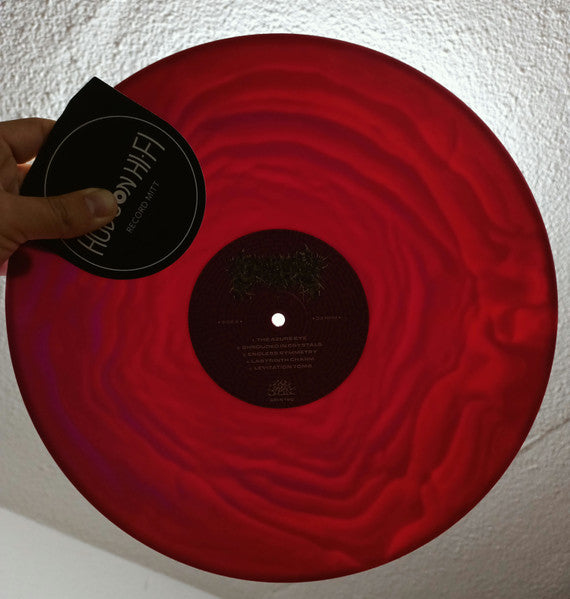 Maze Envy (PURPLE MAGENTA MERGE VINYL) | Mint (M) Mint (M)