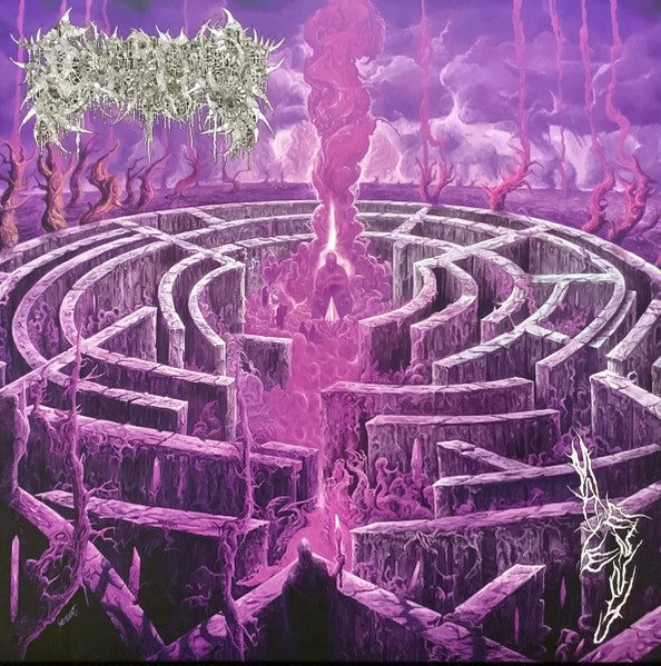 Maze Envy (PURPLE MAGENTA MERGE VINYL) | Mint (M) Mint (M)