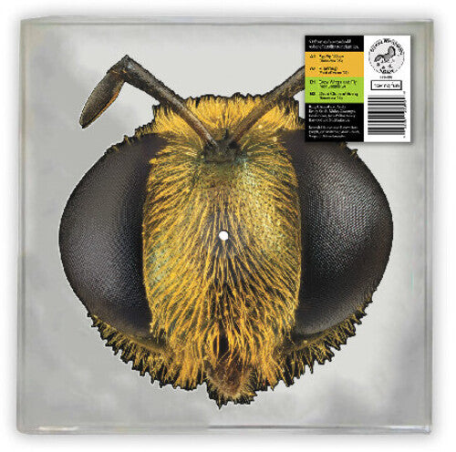 KING GIZZARD & THE LIZARD WIZARD - BIG FIG WASP (RSD 2026 VINYL) | Mint (M) Mint (M)