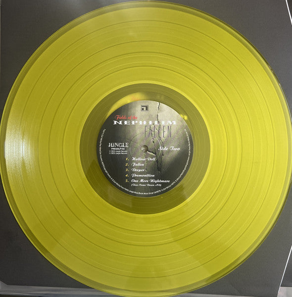 Fallen (VINYL) | Mint (M) Mint (M)