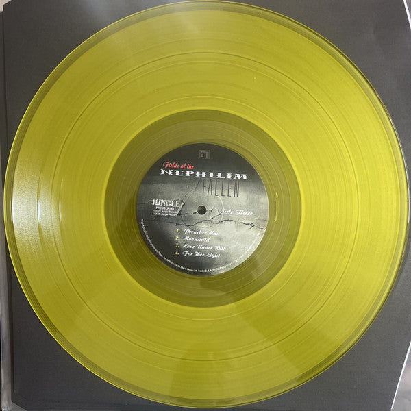 Fallen (VINYL) | Mint (M) Mint (M)