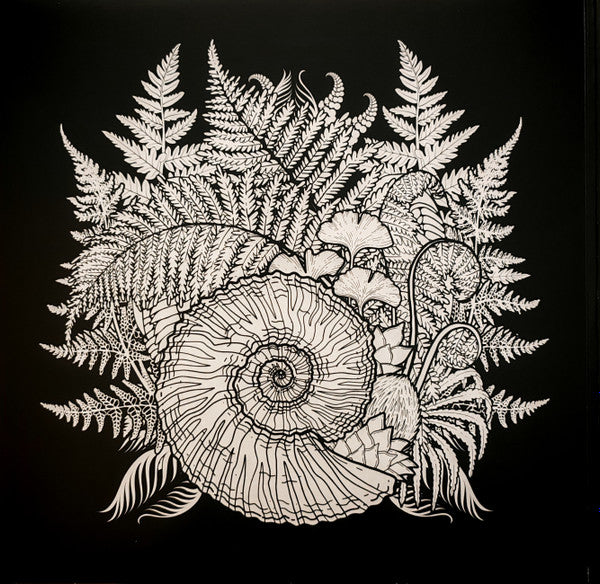 Phanerozoic I Palaeozoic (VINYL) |