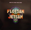 When The Storm Comes Down (VINYL) |