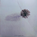 Nighttime Birds (VINYL) |