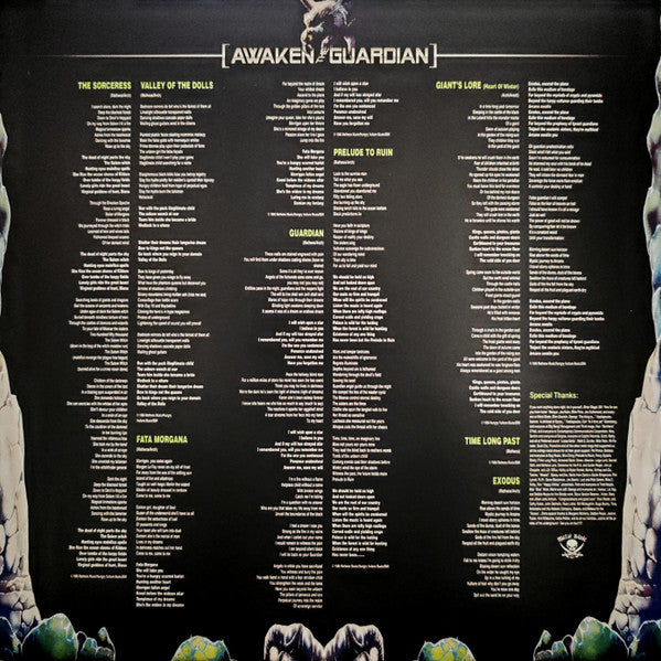 Awaken The Guardian (VINYL) |