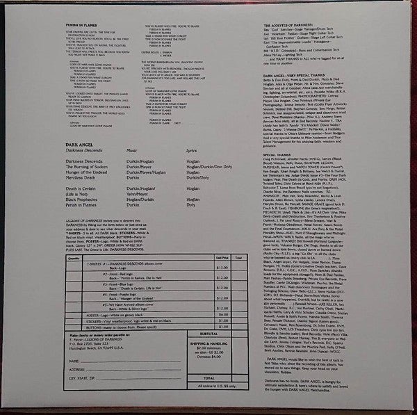Darkness Descends (VINYL) |