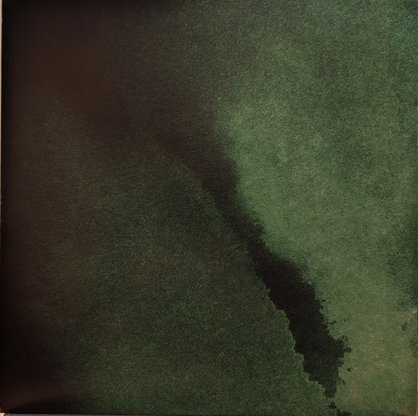 Phanerozoic I Palaeozoic (VINYL) |