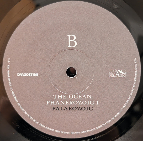 Phanerozoic I Palaeozoic (VINYL) |