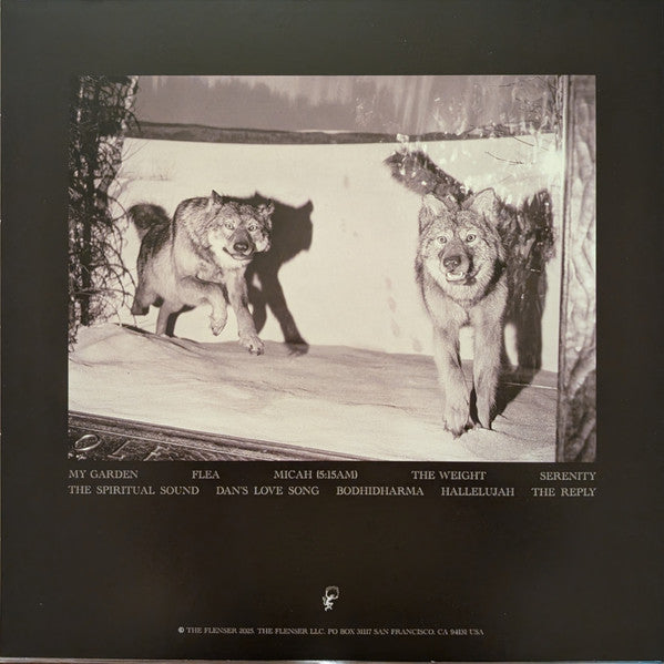 Agriculture - The Spiritual Sound (VINYL) |