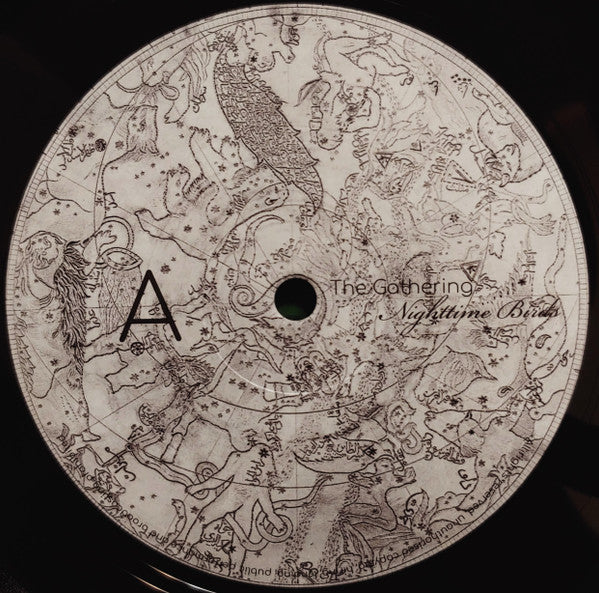 Nighttime Birds (VINYL) |