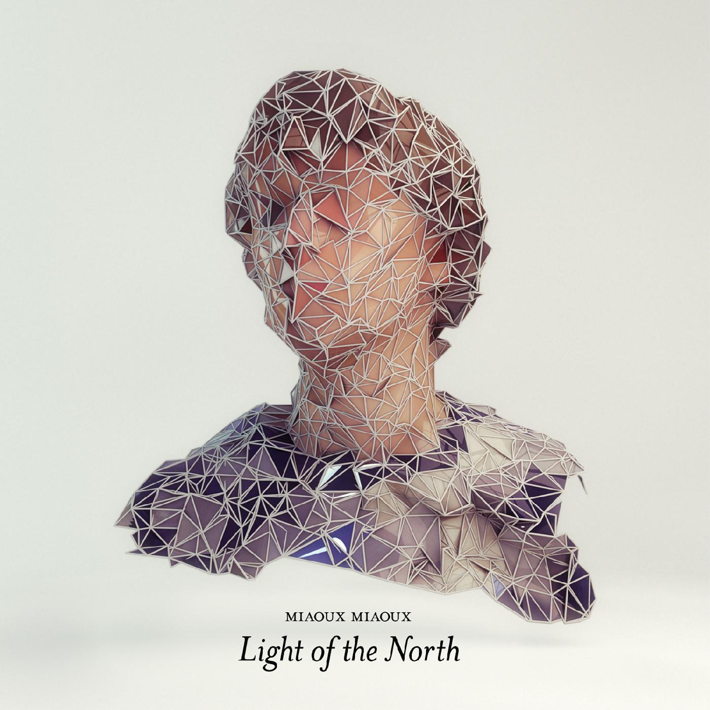 Light Of The North Vinyl Record