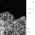 Yearning Flow (CLEAR AND WHITE VINYL) Vinyl Record