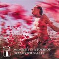 Dreams For Sale Vinyl Record