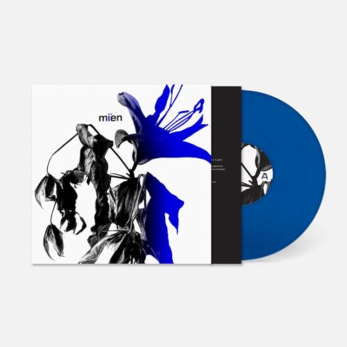 Miien Vinyl Record