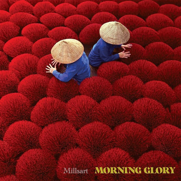 Morning Glory Vinyl Record