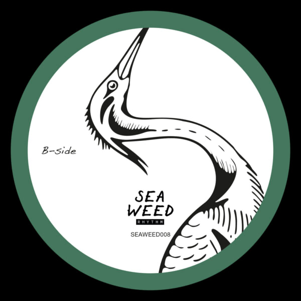 Various - (PRESALE 6/1/26) Seaweed Rhythms Vol.II (GREEN VINYL) | Mint (M) Mint (M)
