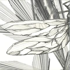 Faster - Transparency EP (2xVINYL) | Mint (M) Mint (M)