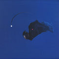 No Light Below (VINYL) | Mint (M) Mint (M)