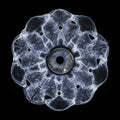 Hypnotizin EP (VINYL) | Mint (M) Mint (M)