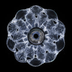 Hypnotizin EP (VINYL) | Mint (M) Mint (M)