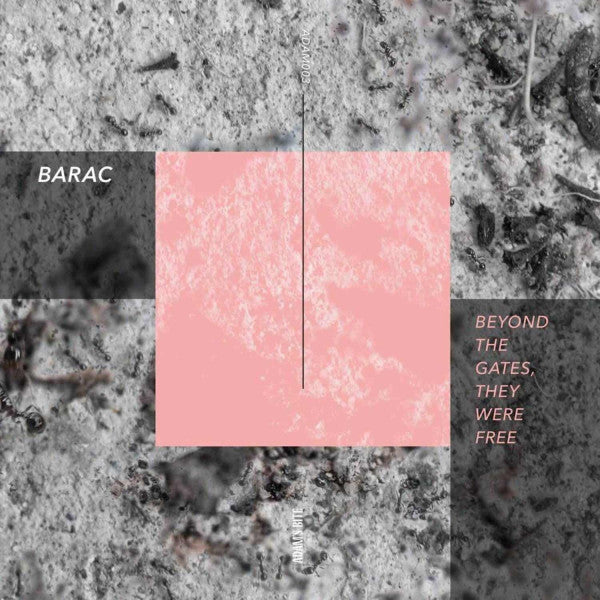 Barac - Beyond The Gates, They Were Free (VINYL) | Mint (M) Mint (M)