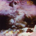 Ministry - The Land Of Rape And Honey (Deluxe Edition, Brick & Mortar Exclusive) (2 Lp) | Mint (M) Mint (M)