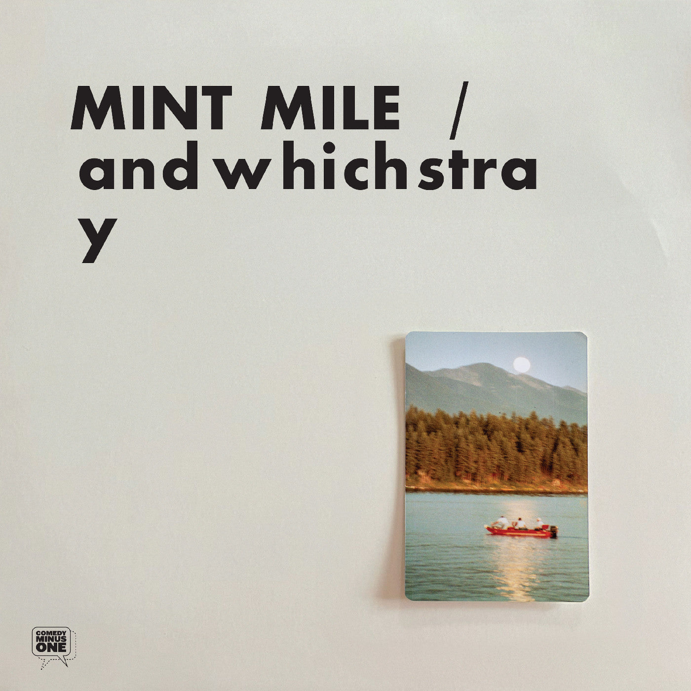 Andwhichstray Vinyl Record
